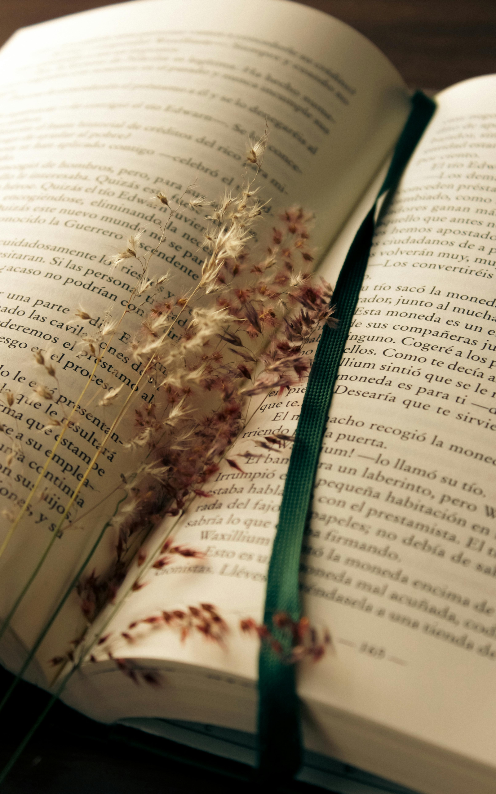 dincolo de cuvinte poza 3